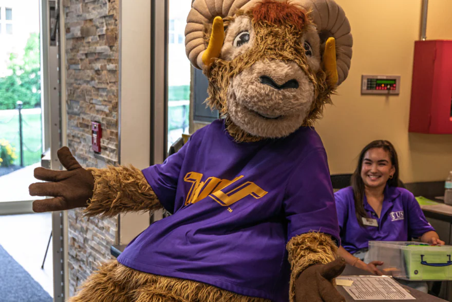 A person in a ram mascot costume wearing a purple shirt sits on a counter with arms open. A smiling woman in a purple shirt, representing West Chester University housing, sits behind the counter with papers visible nearby in an indoor setting.