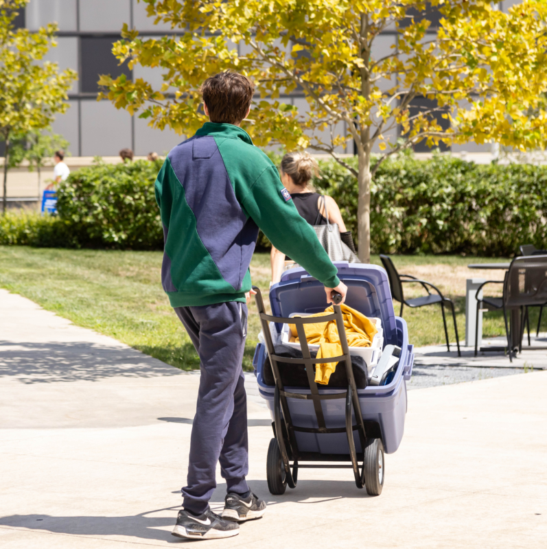 A person wearing a green and navy jacket pushes a cart filled with storage bins and a yellow blanket along a sidewalk, likely moving into West Chester University housing, while another person walks ahead on this sunny day near trees and outdoor chairs.