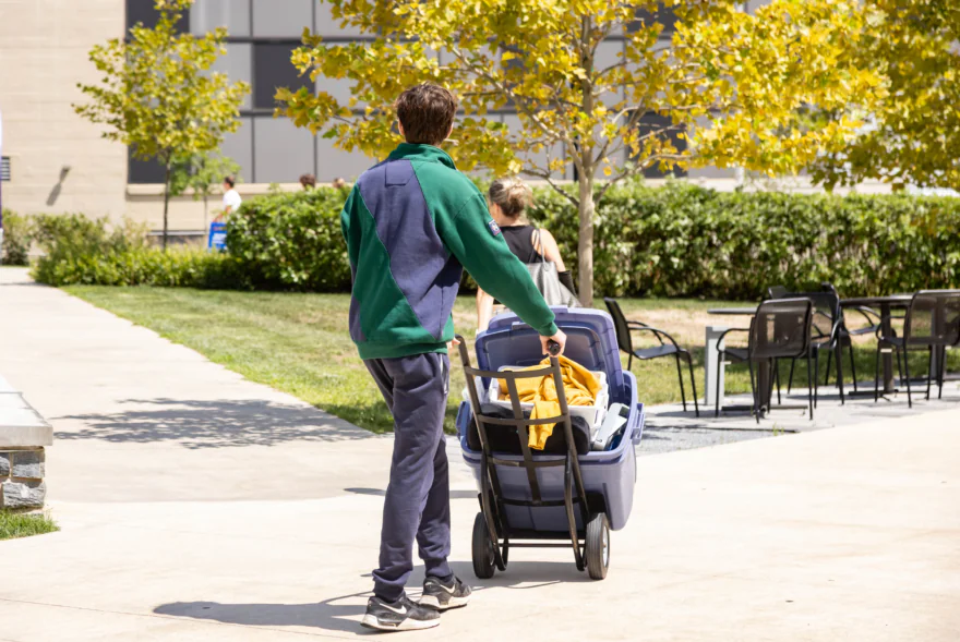 A person wearing a green and navy jacket pushes a cart filled with storage bins and a yellow blanket along a sidewalk, likely moving into West Chester University housing, while another person walks ahead on this sunny day near trees and outdoor chairs.