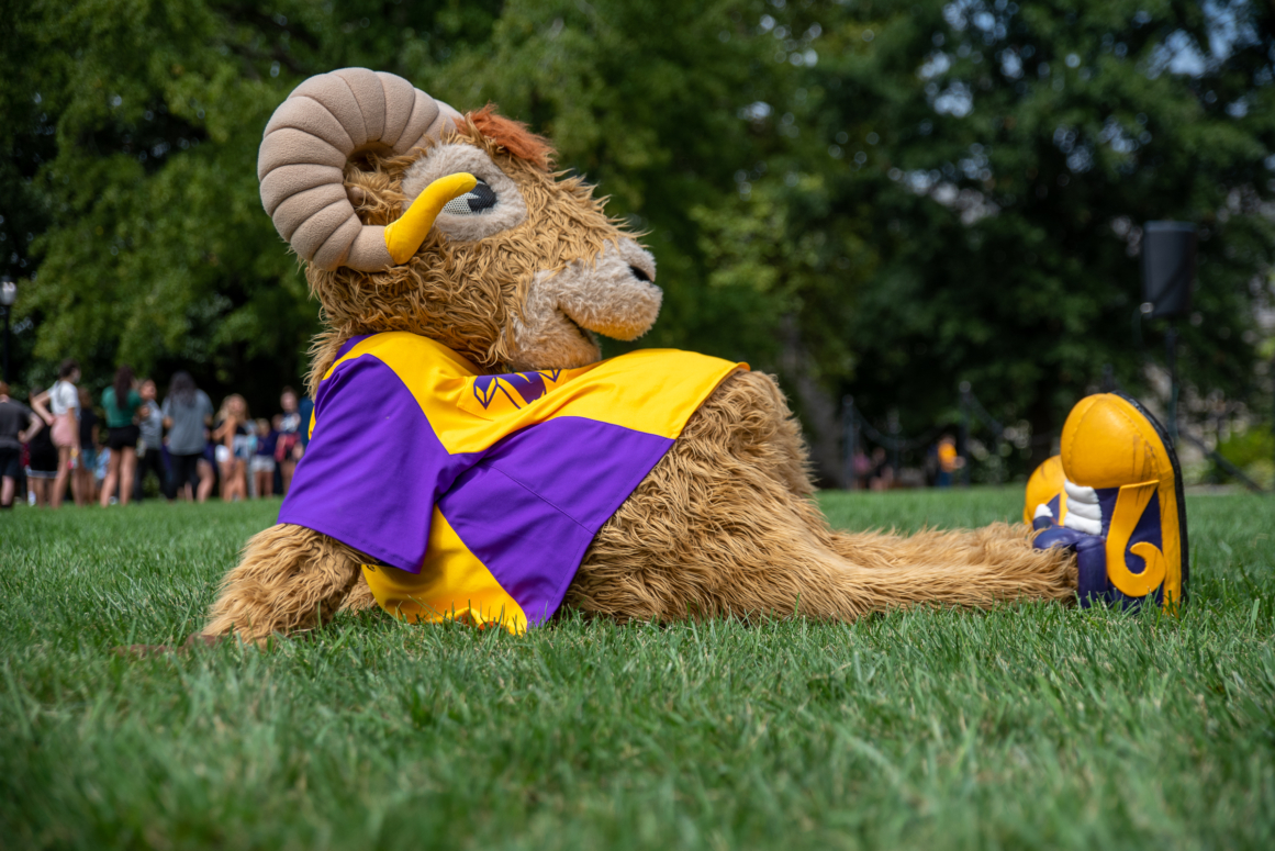 A person in a furry ram mascot costume with large curved horns and a yellow and purple shirt lounges on green grass near West Chester University housing, with people and trees in the background.