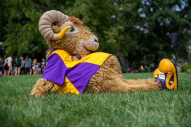 A person in a furry ram mascot costume with large curved horns and a yellow and purple shirt lounges on green grass near West Chester University housing, with people and trees in the background.