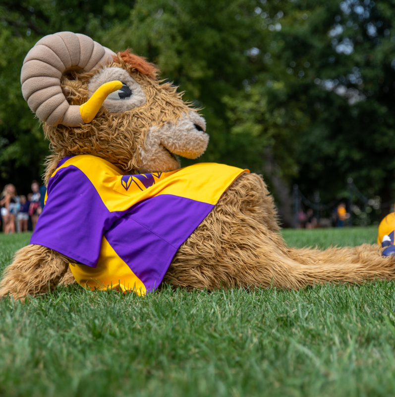 A person in a furry ram mascot costume with large curved horns and a yellow and purple shirt lounges on green grass near West Chester University housing, with people and trees in the background.